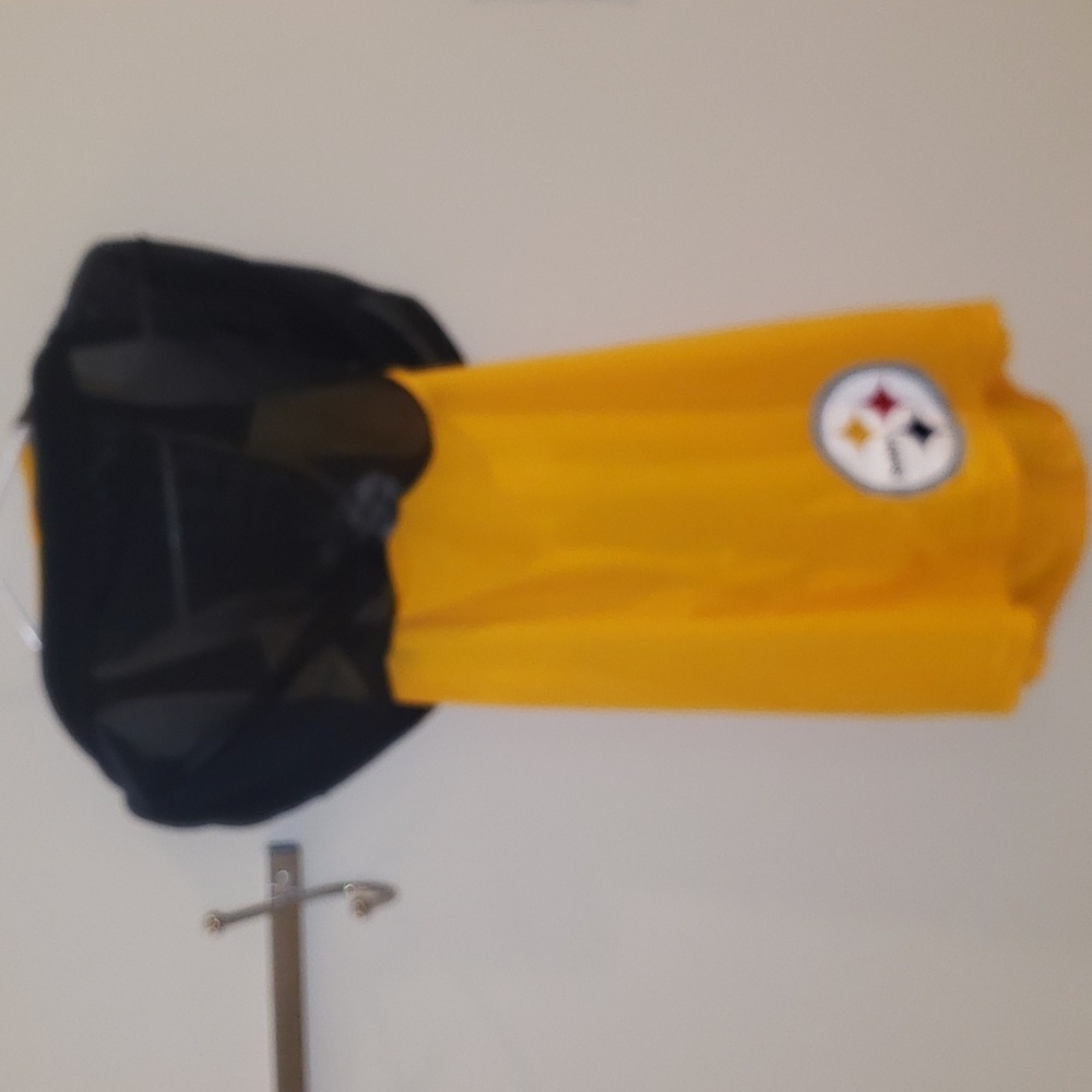 Pittsburgh steelers - Picture 2 of 3